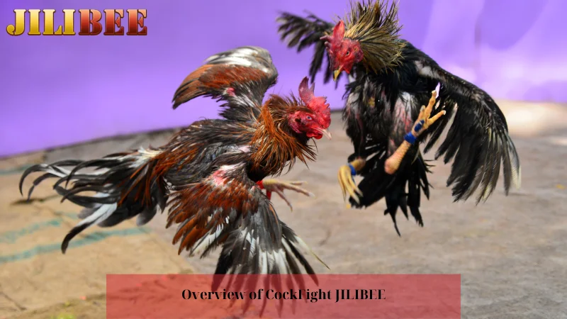 how to place a bet on sportybet